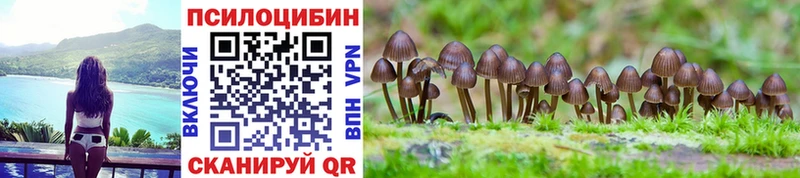 Псилоцибиновые грибы MAGIC MUSHROOMS Перевоз