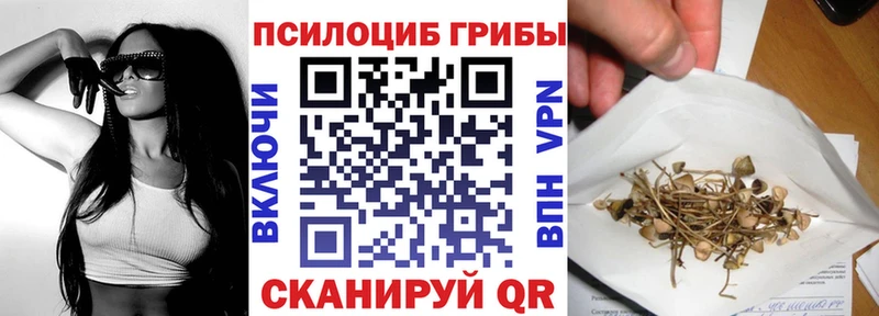 МЕГА ссылка  магазин продажи наркотиков  Перевоз  Псилоцибиновые грибы Psilocybine cubensis 